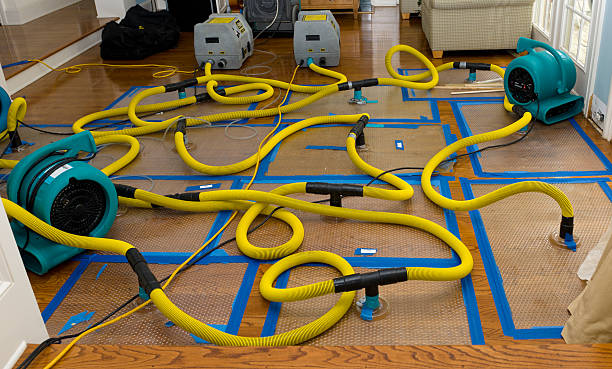 Professional Water Extraction technician working in Newhall, CA